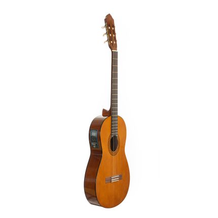 گیتار c40 پیکاپ دار